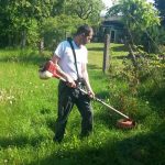 Gartenarbeit - der Garten-Experte macht das für Sie in Wels