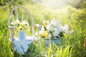 Garten gut gepflegt von Garten-Experte Wels