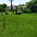 Rasenmähen - das macht der Gartenexperte für Sie