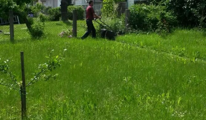 Gartenarbeit – Der Sommer kommt in die Gänge Gartenarbeit – Der Sommer kommt in die Gänge