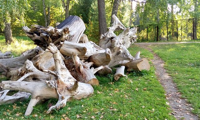 Wurzelstock entfernen - das macht der Gartenexperte für Sie