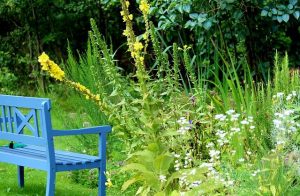 blaue-bank-im-garten